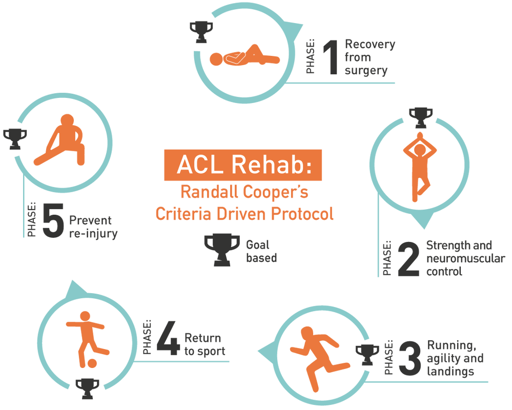 ACL Rehab Protocol